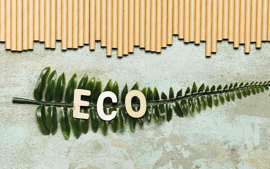 Materiali ecosostenibili per le facciate: una scelta per il futuro